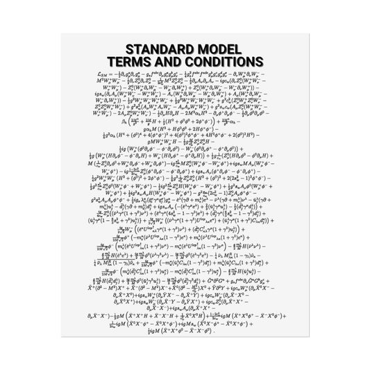 Standard Model Terms and Conditions