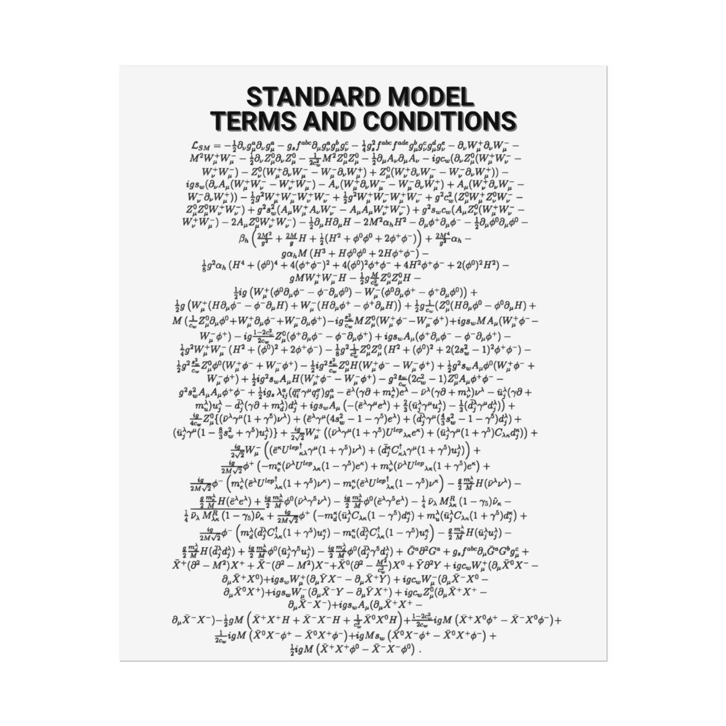 Standard Model Terms and Conditions