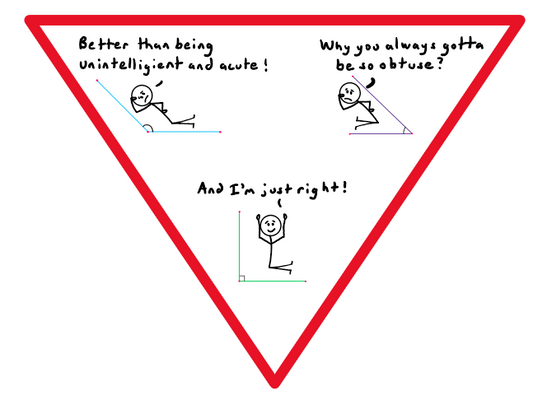 Fun with Angles Graphic