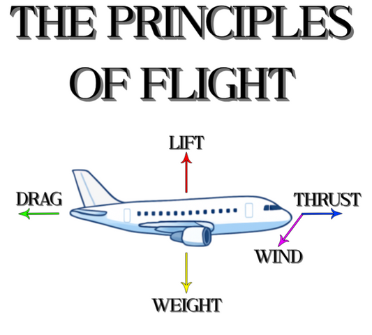 Principles of Flight Shirt | Fun Science Shirt