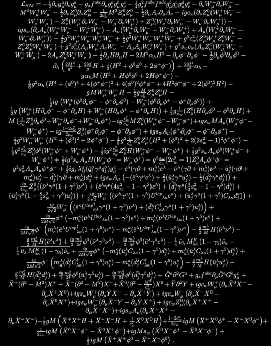 Standard Model Terms and Conditions Shirt
